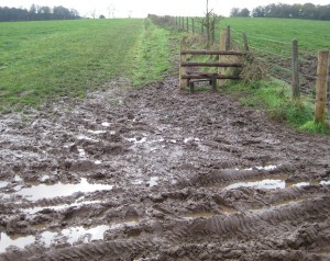 A muddy section of the Sandstone Trail, and a style that leads nowhere.