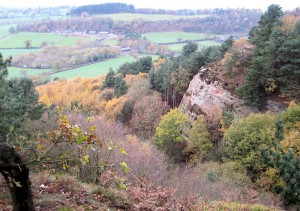 View from the Sandstone Trail.